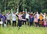 Bupati Pringsewu Hadiri Panen Raya Padi Sehat Kelompok Tani Mina Raharja