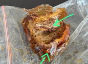 MBG di Yosorejo Metro Timur Diduga Gunakan Kurma Busuk, Sekolah Wajib Waspada Keracunan!